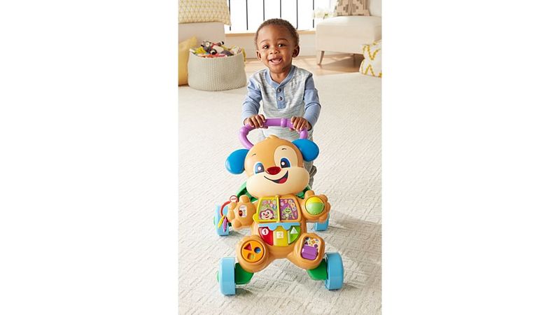 Fisher Price Perrito Andadera De Aprendizaje