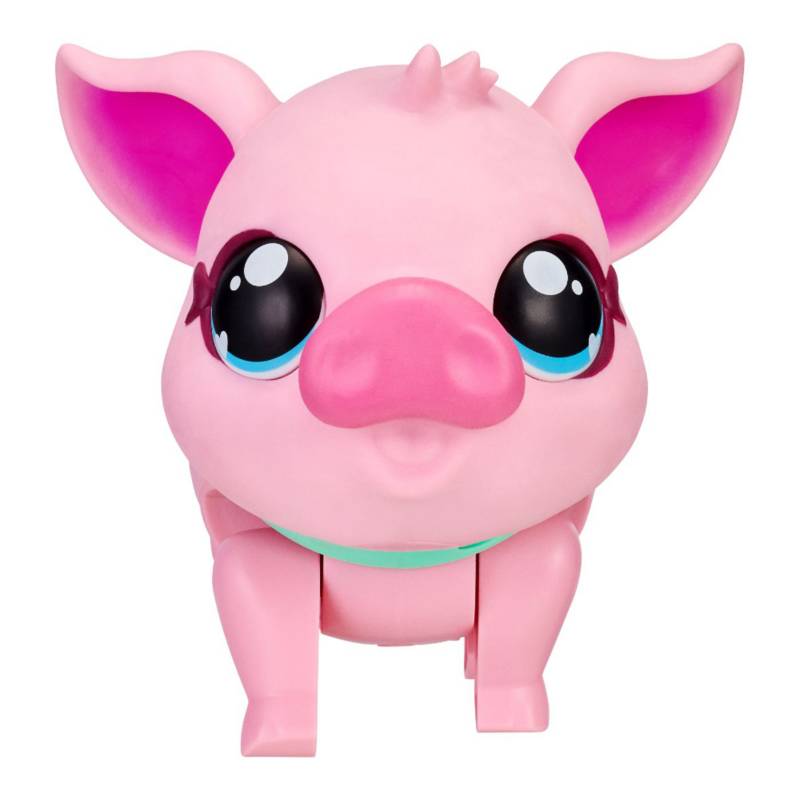 26366
