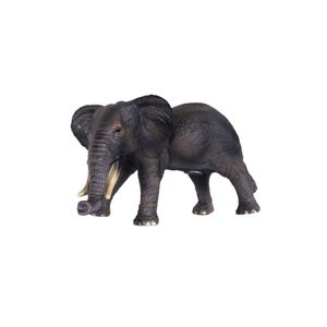 Elefante Educativo Animales De La Selva