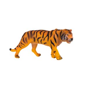 Tigre Educativo Animales De La Selva